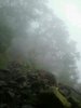 frogola's picture